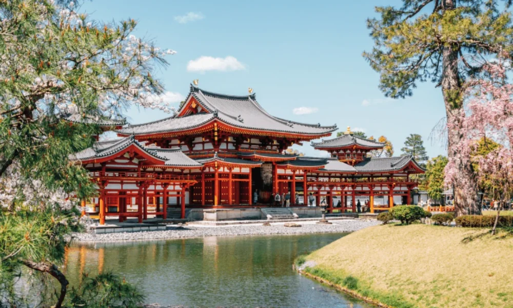 byodo in temple in spring with cherry blossoms