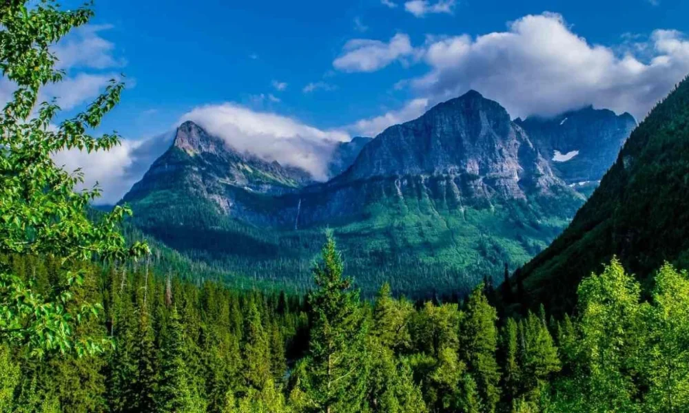 Lush green forest with mountains and clouds
