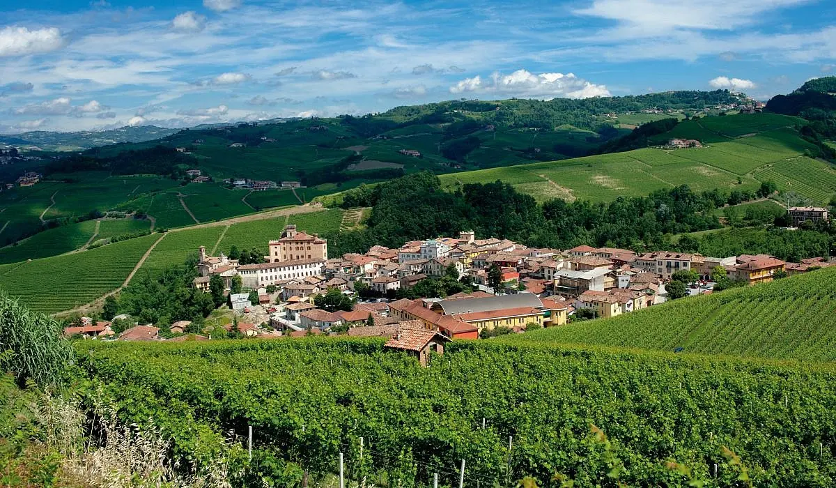 3. Piedmont, Italy: Truffles, Barolo, and Rolling Vineyards