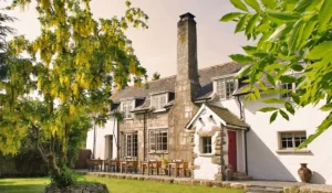 Luxury Pet-Friendly Hotels Around the World