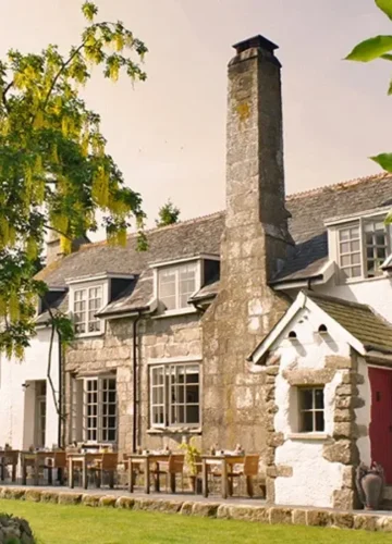 Luxury Pet-Friendly Hotels Around the World
