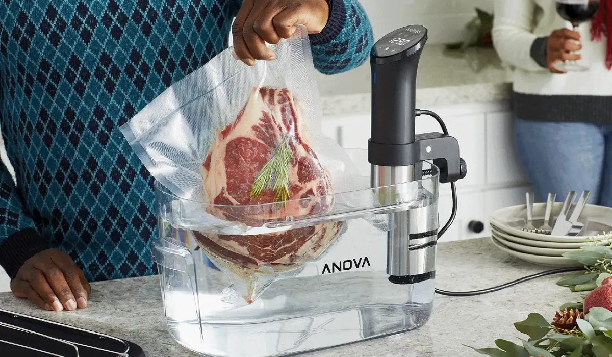 25. Sous Vide Precision Cooker