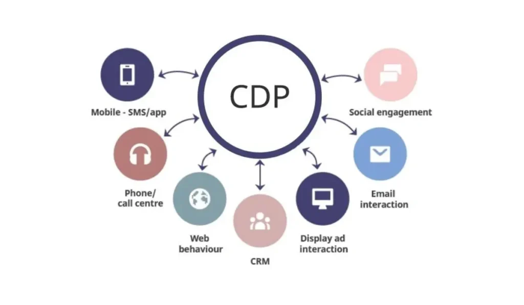 20 Customer Data Platforms (CDPs)
