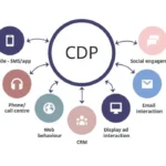 20 Customer Data Platforms (CDPs)