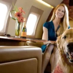 Pravi Celer Luxury Guide: The Ultimate Guide to Premium Living