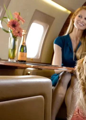 Pet Travel Trends in Premium Hospitality