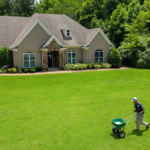 Aerial drone view of a local lawn service provider pushing a spreader to treat a sprawling green grass yard in front of a luxury house.