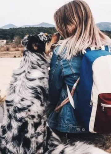 Traveling with an Australian Shepherd: Complete Luxury Guide