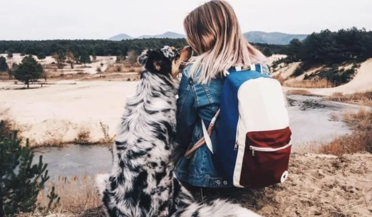 Traveling with an Australian Shepherd: Complete Luxury Guide