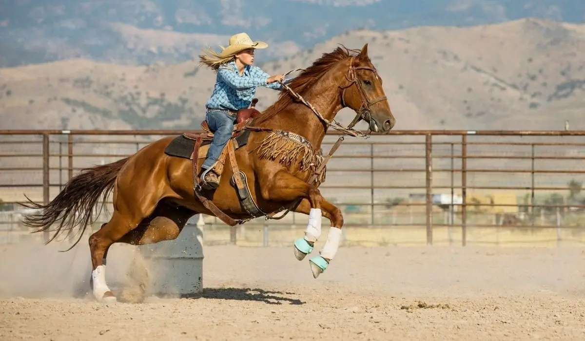 Calming a Hot Horse Under Saddle