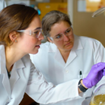 Scientists in protective gear conducting experiments in a chemistry lab.