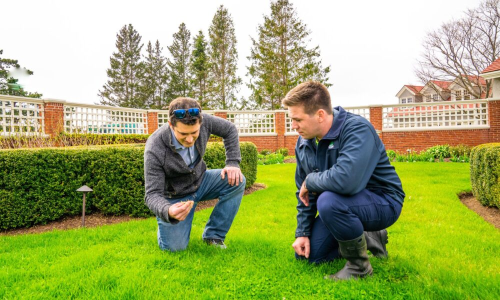 Two local lawn care experts kneeling on a manicured green grass lawn to closely inspect turf quality and soil conditions in a backyard garden.