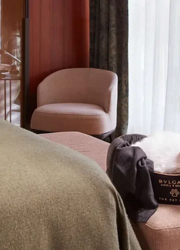 Best Luxury Resorts That Welcome Pets