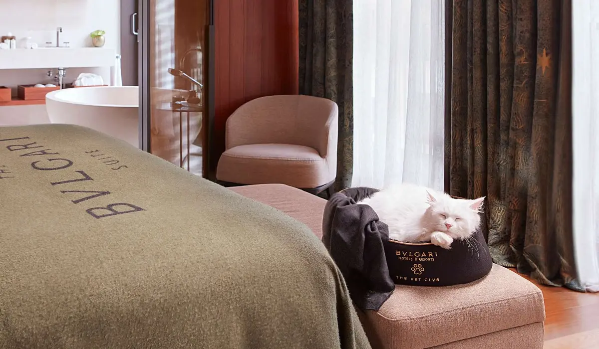 Best Luxury Resorts That Welcome Pets