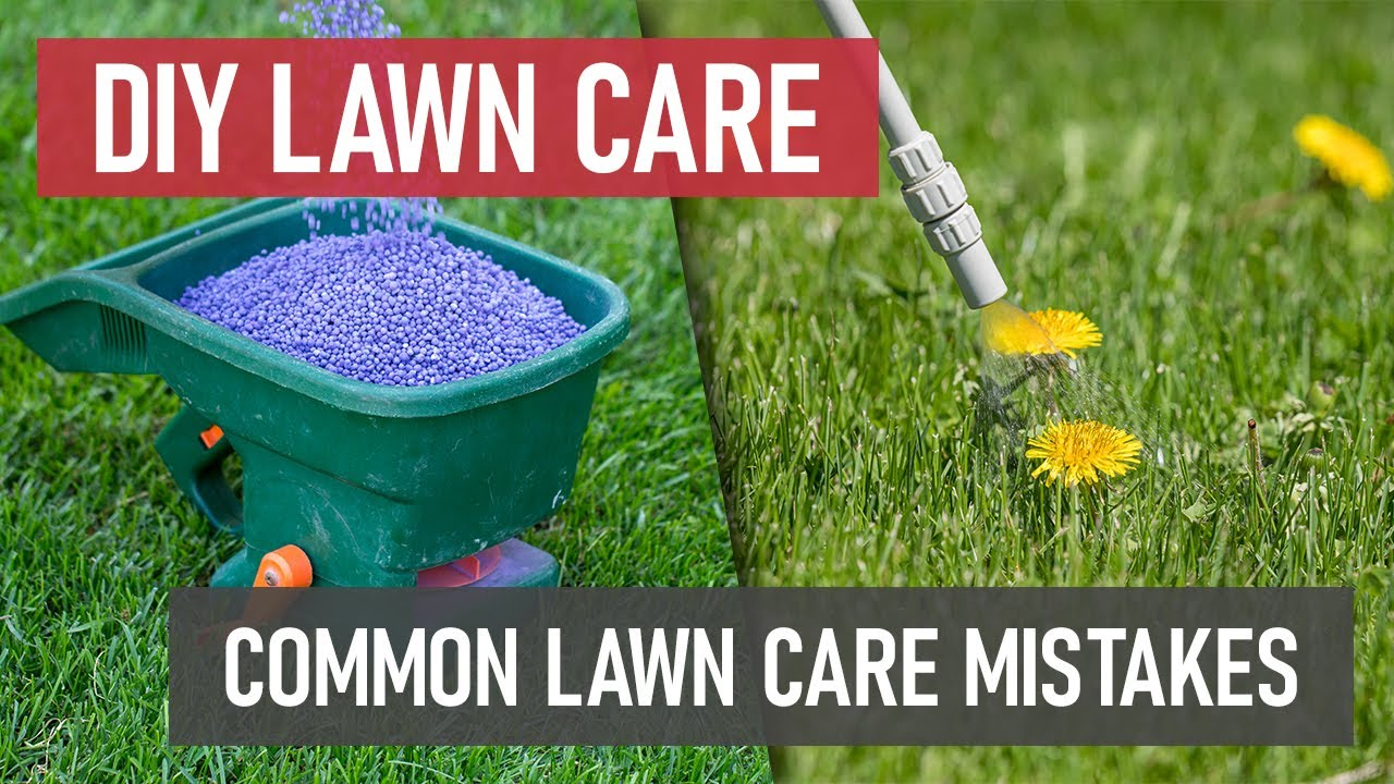 comparison graphics showing a lawn spreader filled with blue fertilizer pellets and a handheld wand spraying weed control on dandelions, with text overlays reading DIY Lawn Care and Common Lawn Care Mistakes.