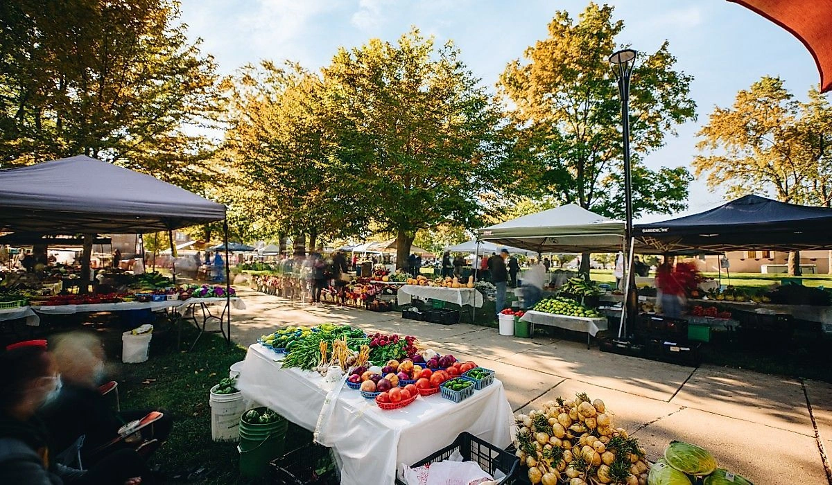 Why the Modern Gourmet Loves the Farmers Market