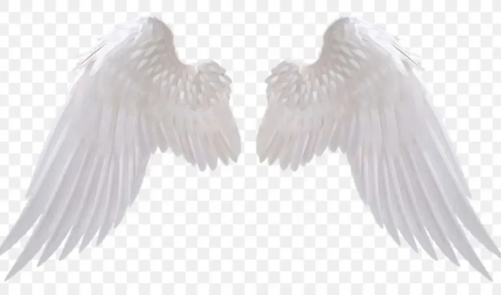 Angel Wings Meaning