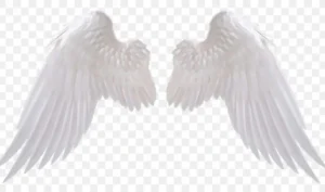 Angel Wings Meaning