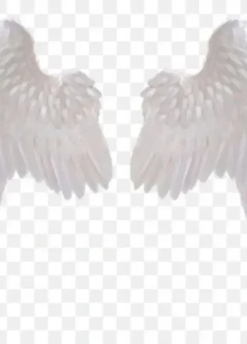 Angel Wings Meaning