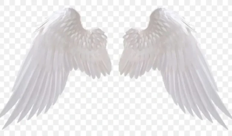 Angel Wings Meaning
