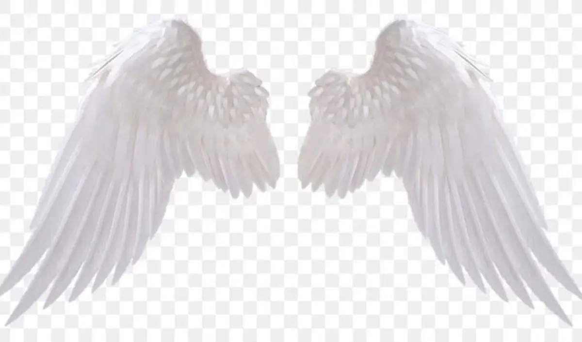 Angel Wings Meaning