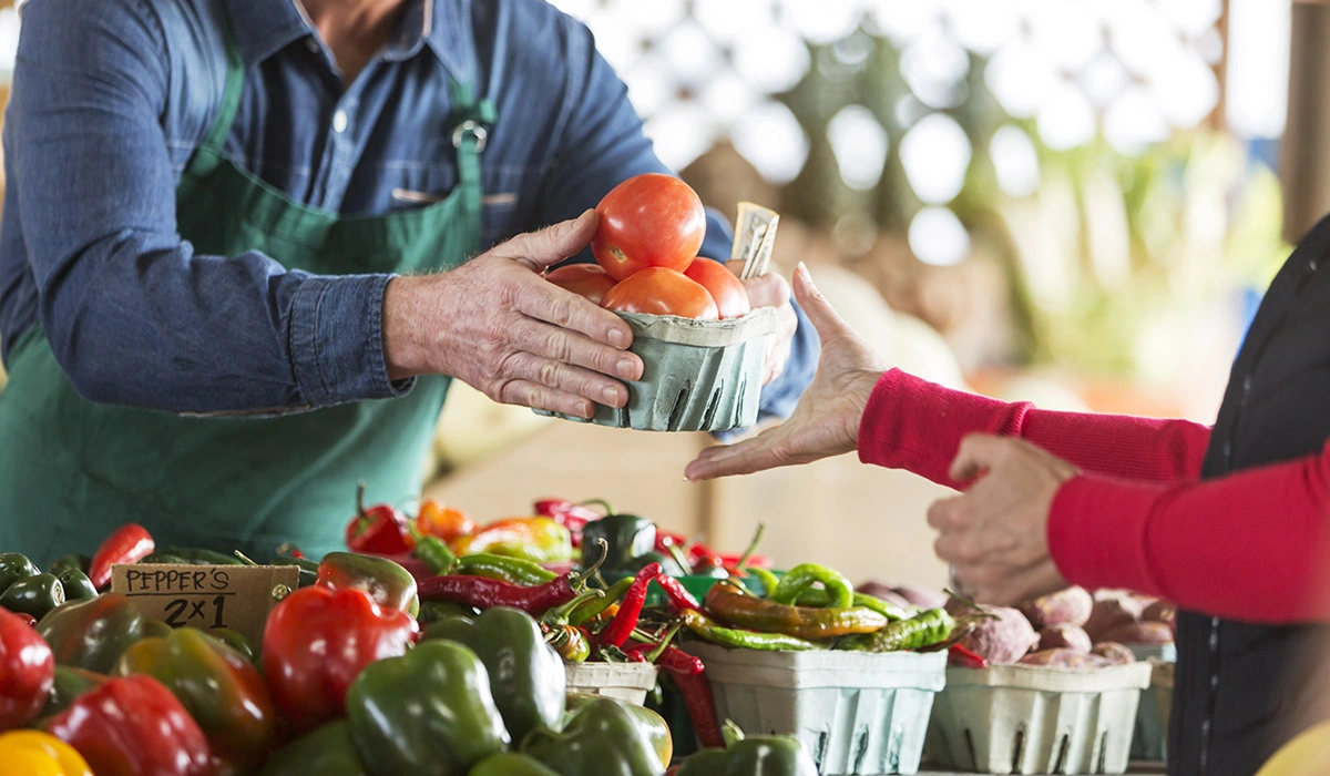 The Rise of Artisan Food in Daily Meals