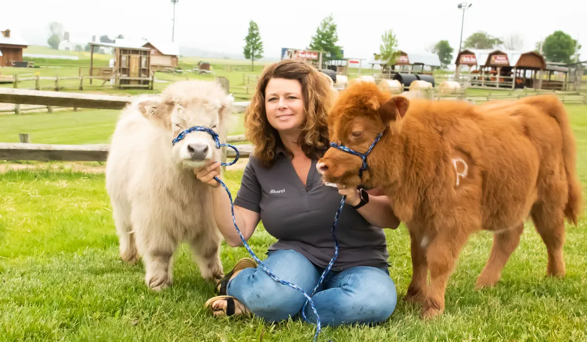 Key Comparisons: Traditional Livestock vs. Modern Lifestyle Icon