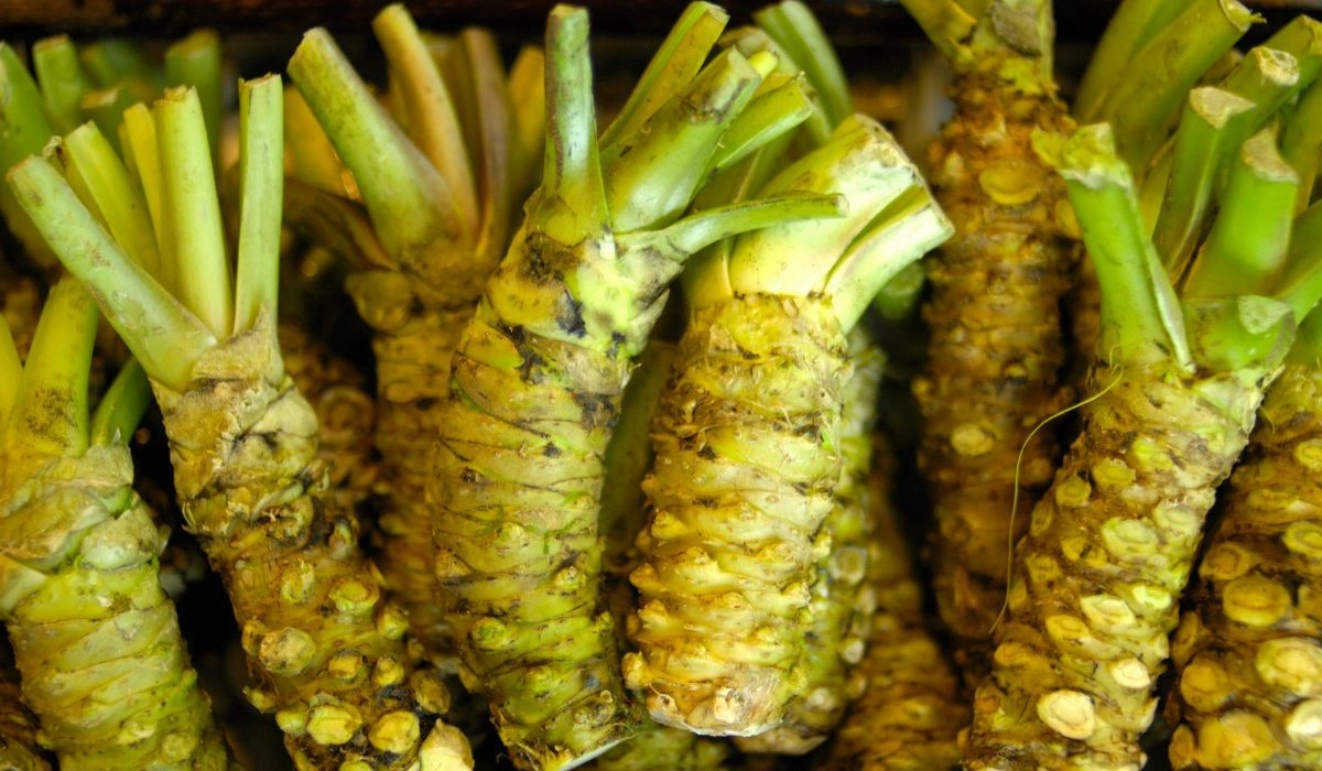 What Does Real Wasabi Actually Taste Like?