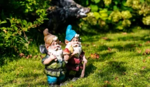 Garden Gnome Guide: History, Types & Decorating Ideas