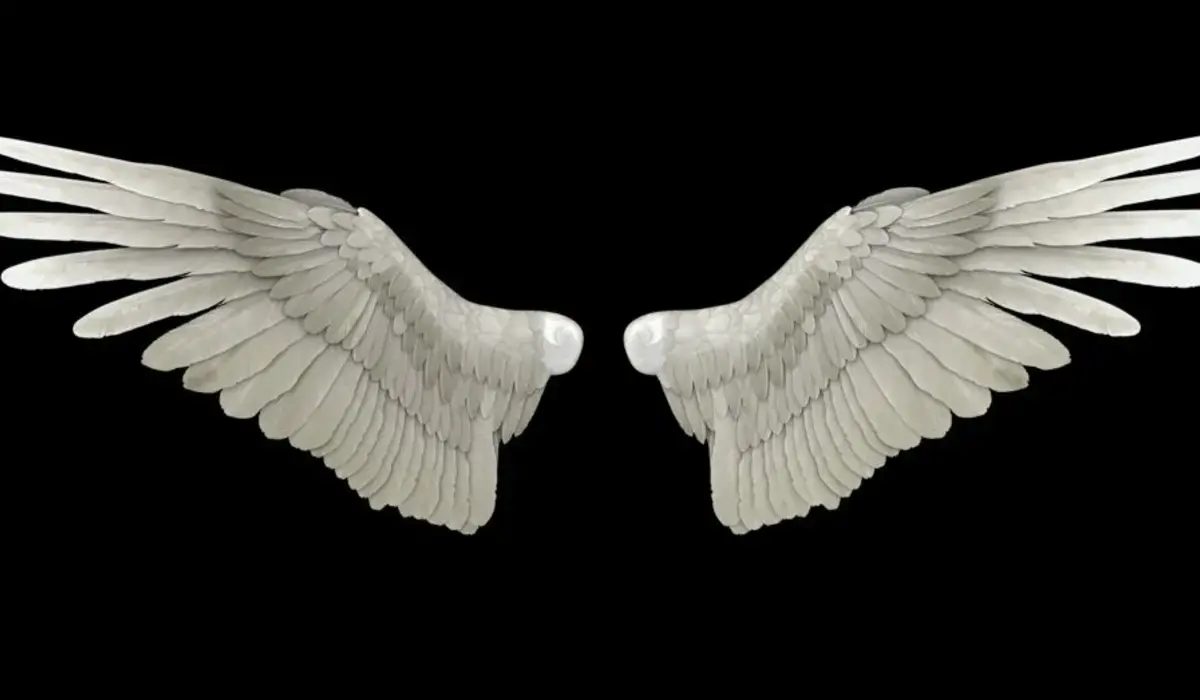 What Do Angel Wings Really Symbolize?