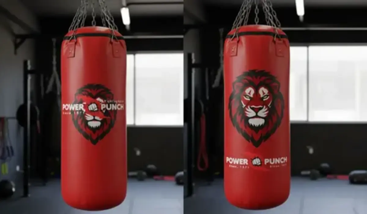 How to Choose the Right Punching Bag for Your Needs