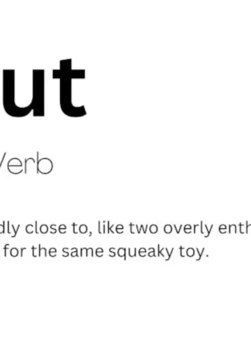 Abut Meaning: Definition, Examples & Usage