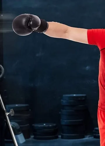 Punching Bag Buying Guide