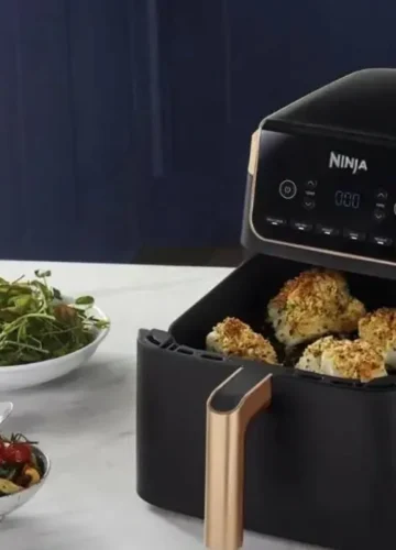 ninja air fryer