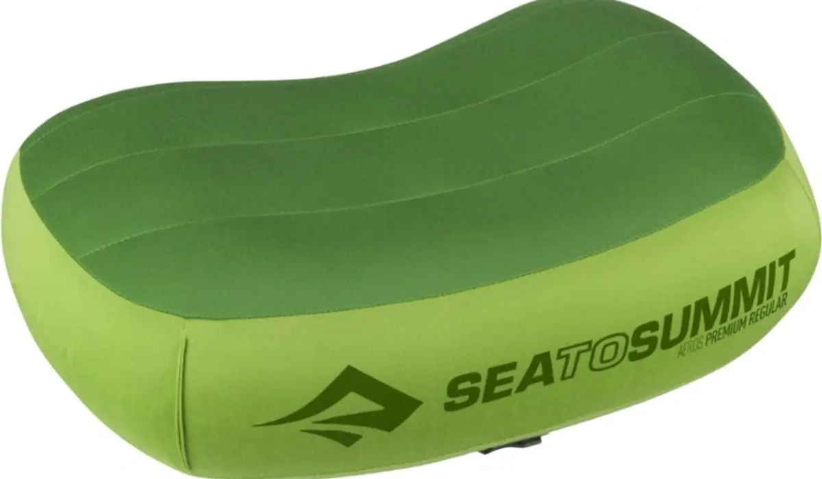 6. Ergonomic In-Flight Lumbar Cushions