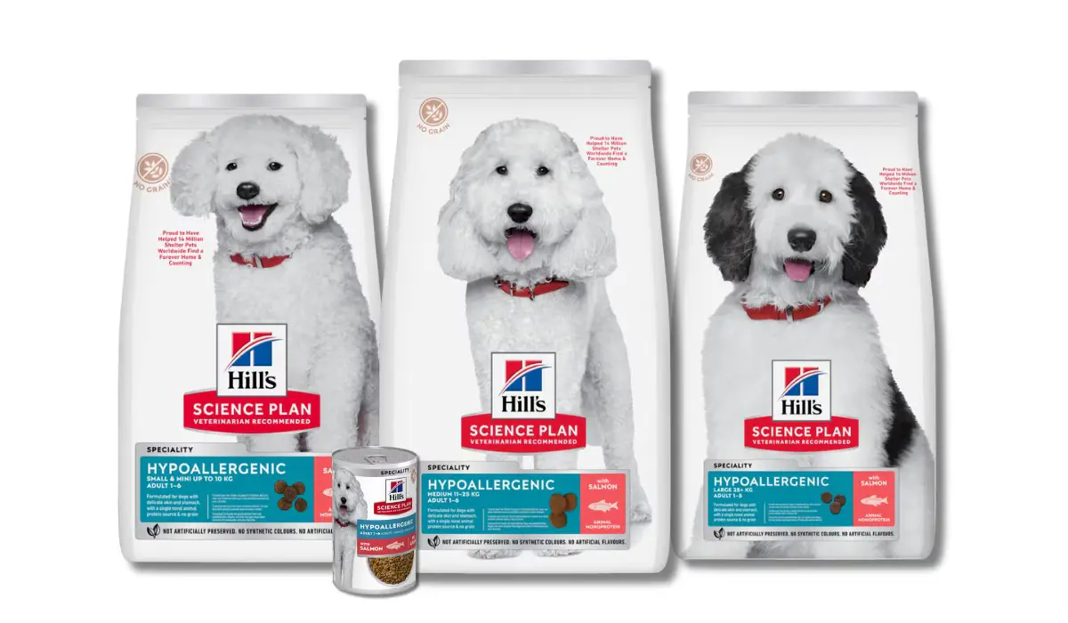 Why Dog Food Quality Really Matters