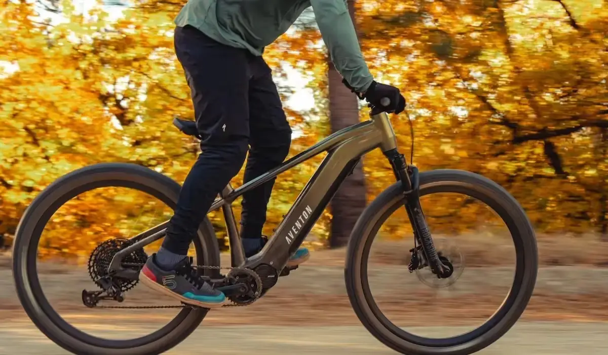 Detailed Analysis: The Best E Bike Brands Ranked & Reviewed