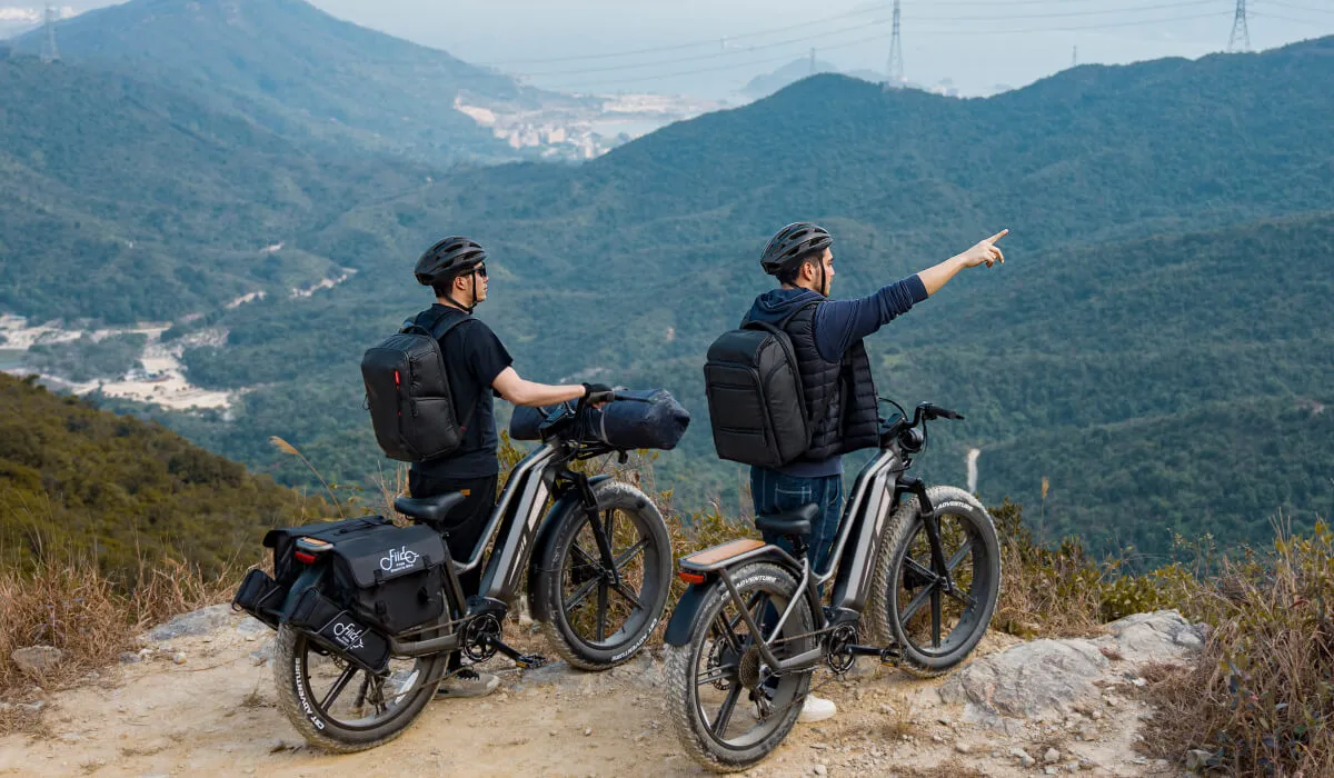 What Makes a Great E-Bike Brand?