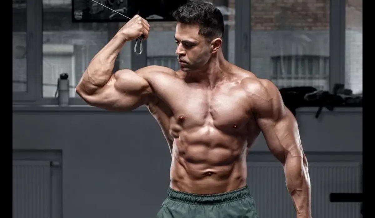 The best routine for building muscle