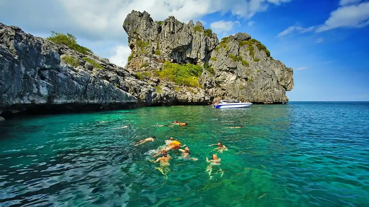 Swimmers float in clear turquoise water beneath a rugged limestone sea cliff dotted with green shrubs, under a bright blue sky; a boat adds a peaceful coastal feel.