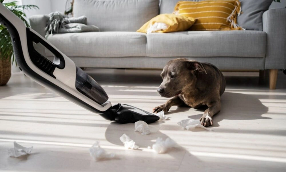 A small brown dog sits beside a vacuum cleaner and scattered tissues on a sunlit floor-Best Cleaning Vacuum Cleaner