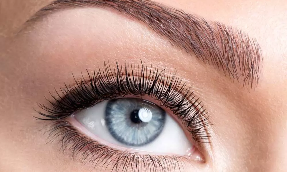 Close-up beauty portrait of a blue-gray eye with long, curled lashes and a defined brown eyebrow-Best Skin Care Products of 2026