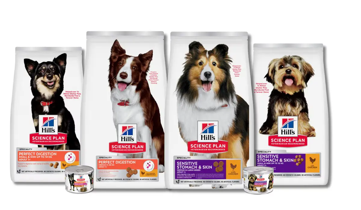 Dog Food Brands: Complete List with Ratings & Reviews