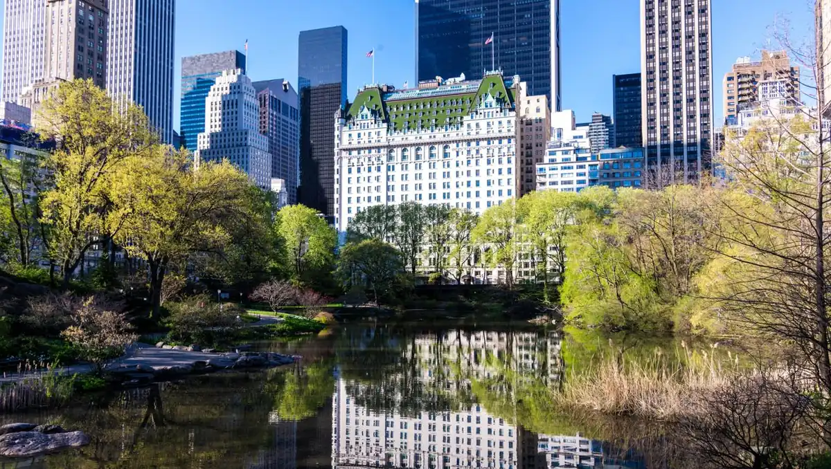 15 Best Hotels in New York City for Every Type of Traveler