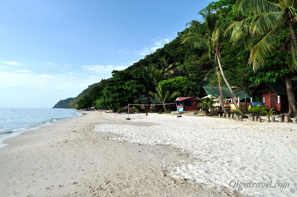 White sand beach bordering lush coastal palm trees