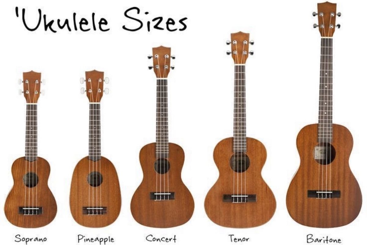 Lineup showing different types and sizes of ukuleles