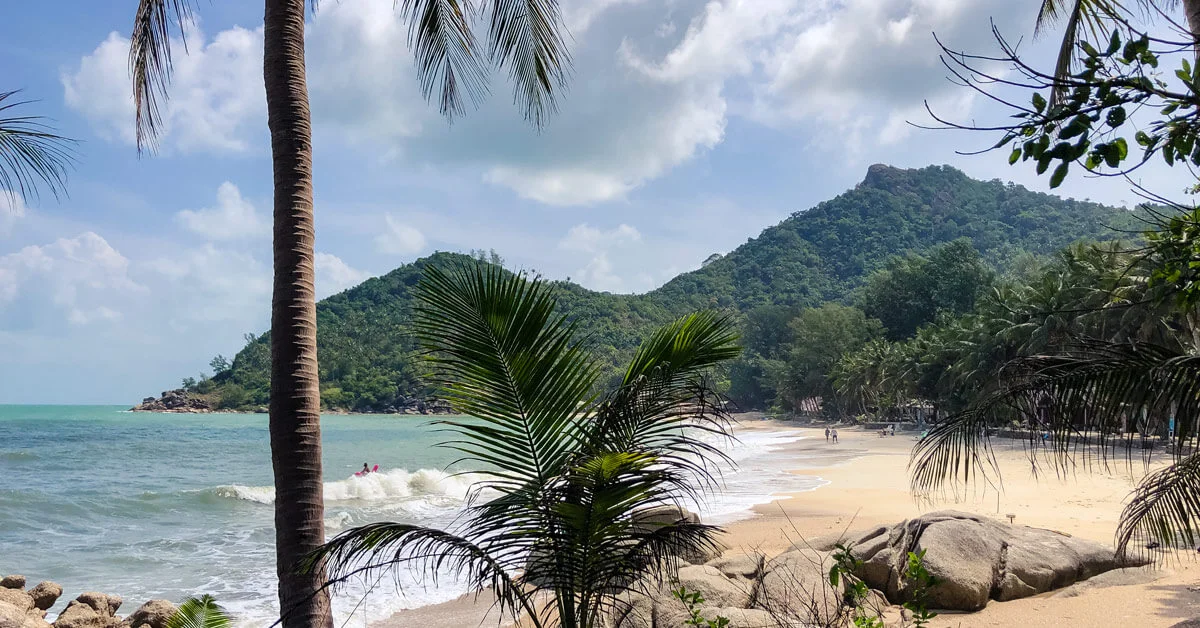 Palm tree branch overhanging a sunny sand beach
