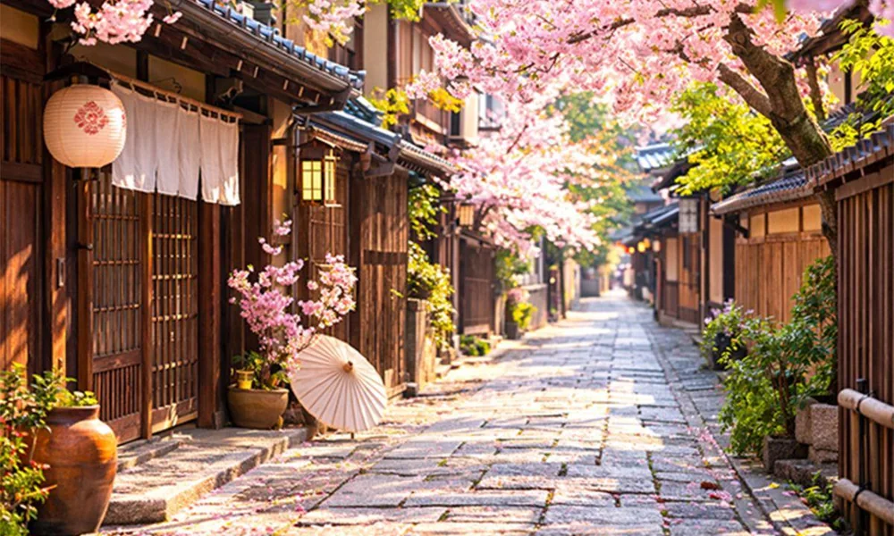 Pink cherry blossoms along a Kyoto street.