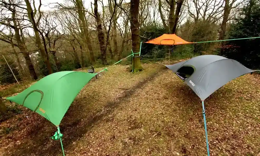 Three tensile tree tents